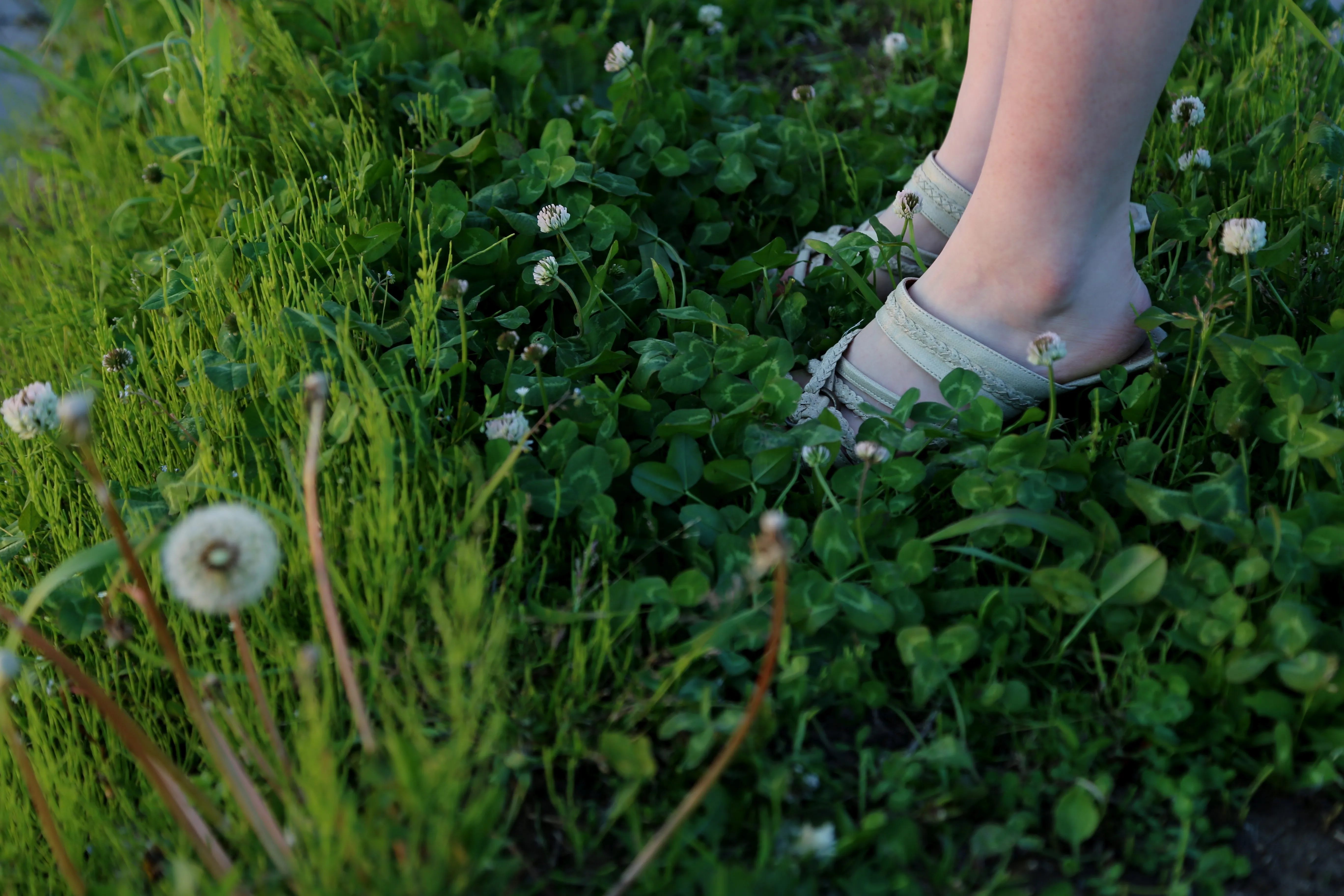 お外で写真を撮ってきた